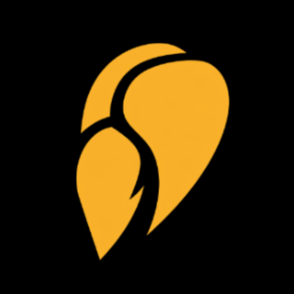 Amber icon